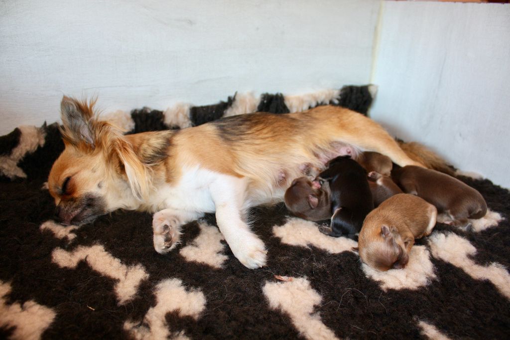 Les bébés